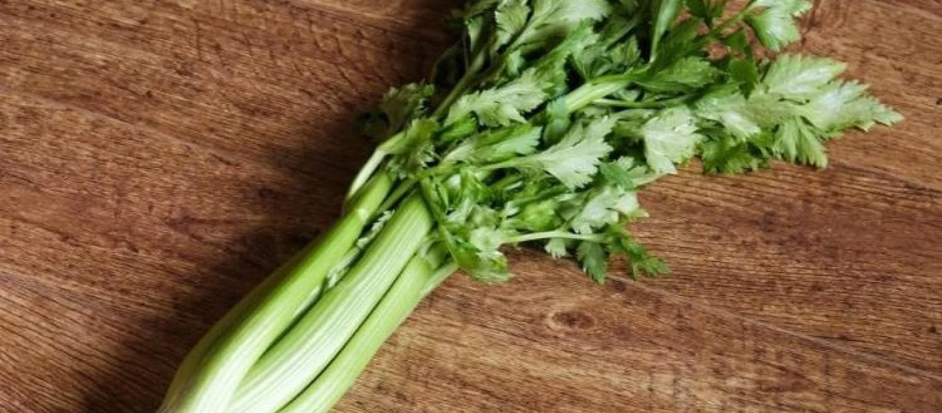 Σέλινο: Ποια τα οφέλη για τον οργανισμό μας;